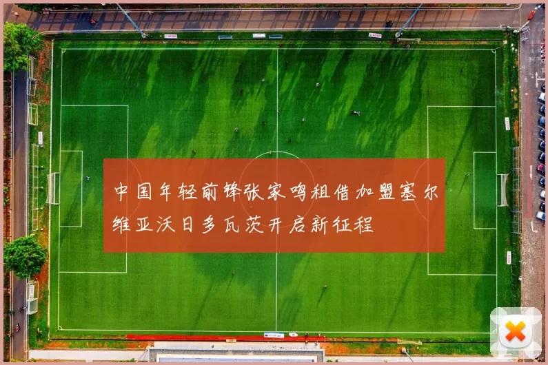 中国年轻前锋张家鸣租借加盟塞尔维亚沃日多瓦茨开启新征程