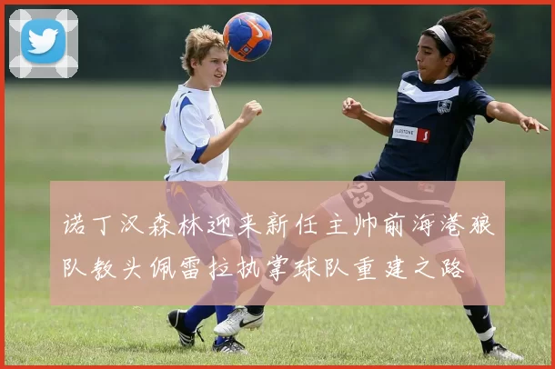 诺丁汉森林迎来新任主帅前海港狼队教头佩雷拉执掌球队重建之路